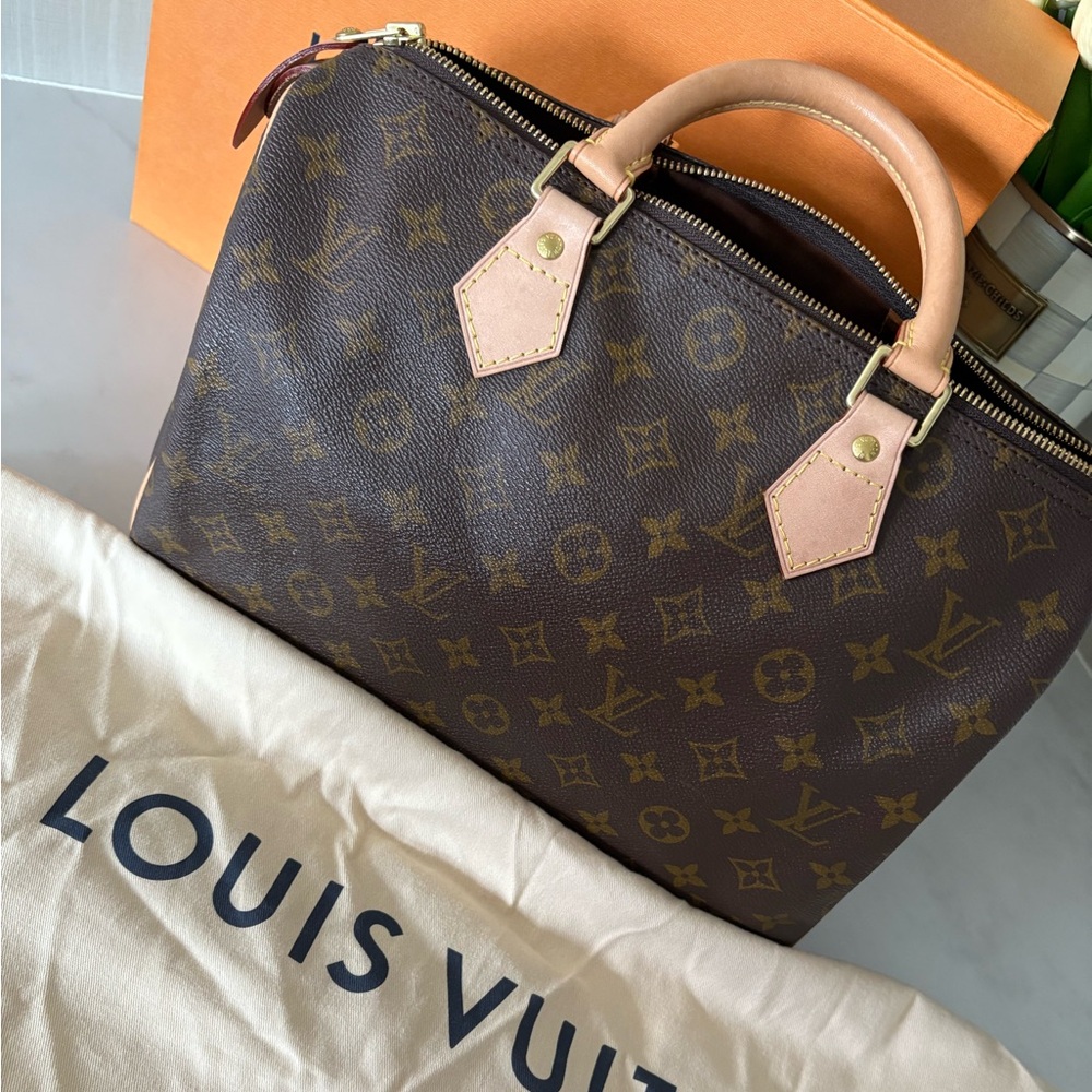Louis Vuitton Classic Brown Monogram Satchel